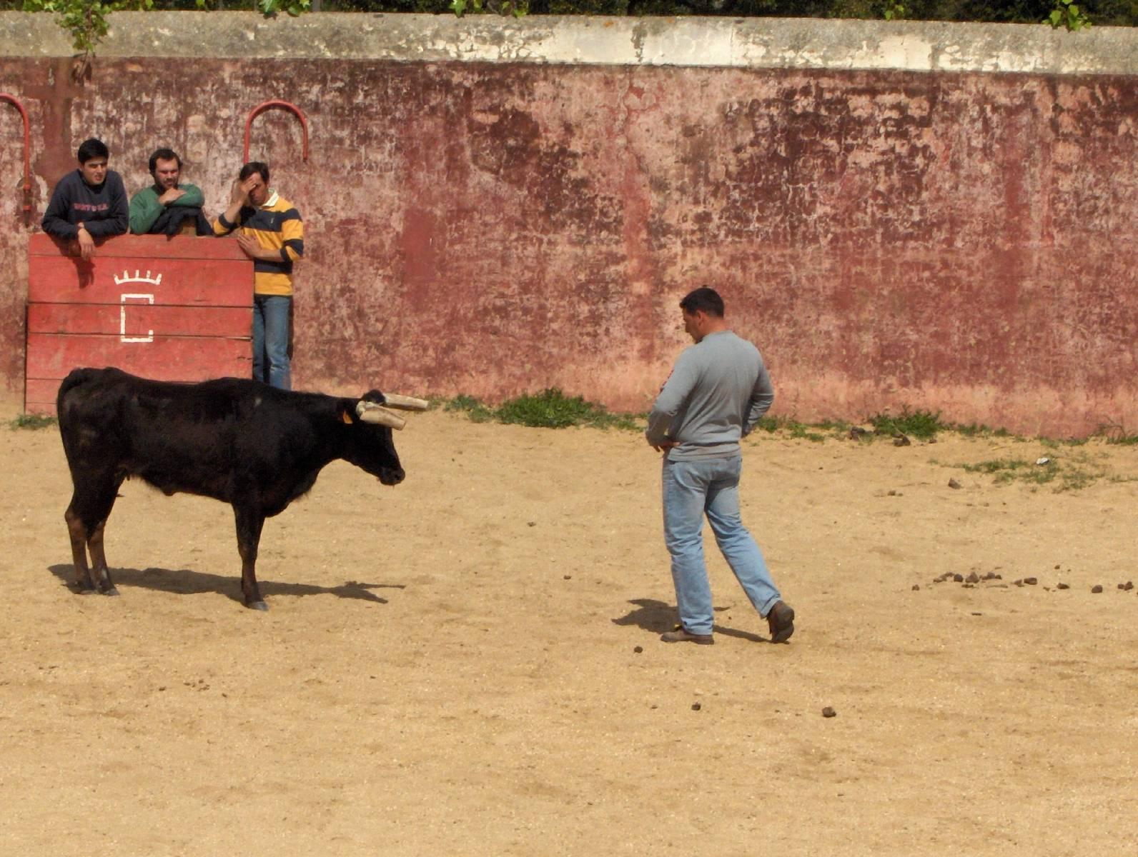 [Nelson Lopes[1].JPG]